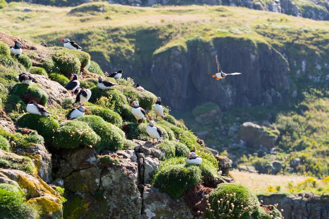 Little Fox Lodge Luxury Hideaway With Hot Tub Glencoe Near Fortwilliam (Adults Only) Εξωτερικό φωτογραφία