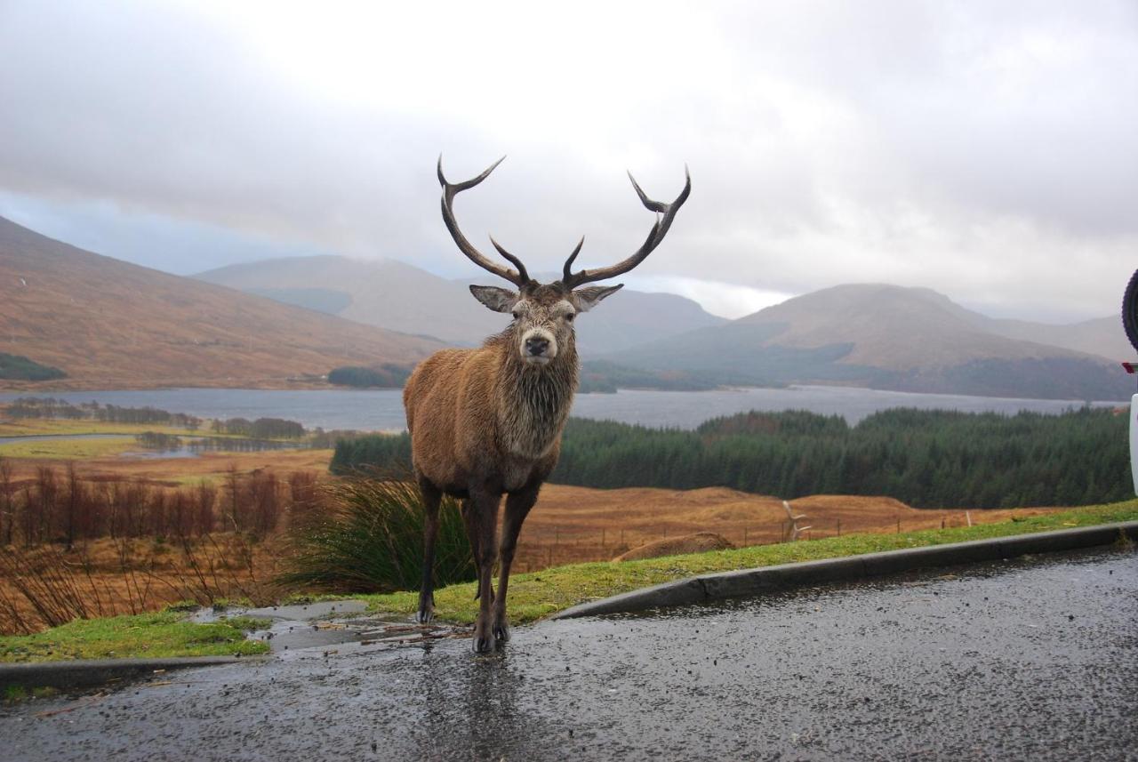 Little Fox Lodge Luxury Hideaway With Hot Tub Glencoe Near Fortwilliam (Adults Only) Εξωτερικό φωτογραφία