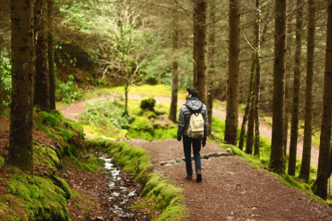 Little Fox Lodge Luxury Hideaway With Hot Tub Glencoe Near Fortwilliam (Adults Only) Εξωτερικό φωτογραφία